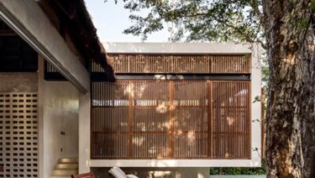 Modern Architect – Jungle Keva Modern Architect - Jungle Keva